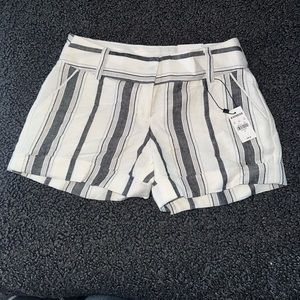 Express pinstripe business casual shorts